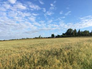 Obrzek-WhatsApp-2023-12-10-v-102524ff3f0adf